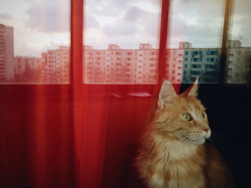 IMG-5998.jpg